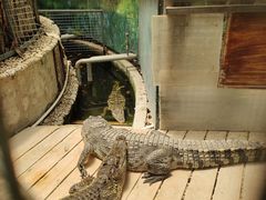 -呀路古热带植物园