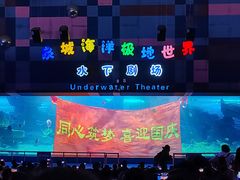 -泉城欧乐堡海洋极地世界