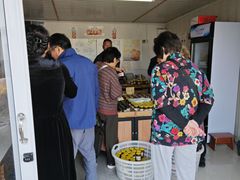 -苏州市吴中区光福窑上花果蜜饯厂