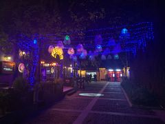-猫头婴小酒馆FUN OWL(1912店)
