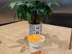 -CoCo都可(卓展店)