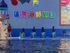 -蓬莱欧乐堡海洋极地世界