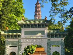 -顺峰山公园