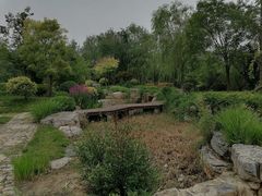 -武清南湖绿博园