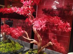 -芝小官毛肚火锅海鲜自助(淮安清江浦区新亚店)