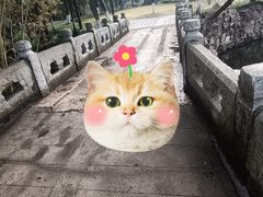 -水绘园