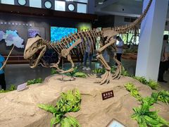 -自贡恐龙博物馆