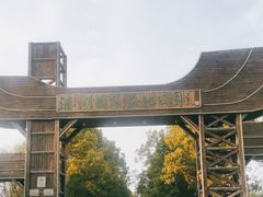 -溱湖国家湿地公园