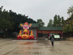 -广东圆玄道观