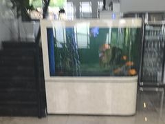 -欣怡茶庄·始于1999(梅家坞店)