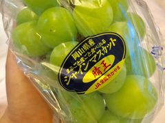-油麻地果栏