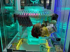 -星河湾温泉洗浴酒店