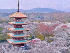 -东湖磨山景区