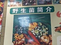 -菌之家·专业纯野生菌火锅·特色炒菌