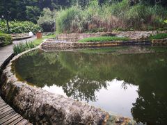 -成都市活水公园