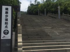 -铁山坪森林公园