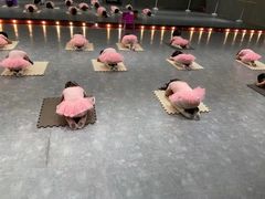 -星舞宝贝少儿舞蹈艺术(天山西路店)