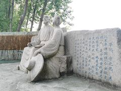 -合肥滨湖国家森林公园