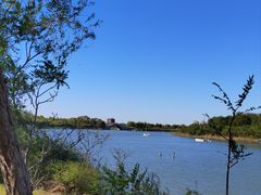 -天津东丽湖风景区