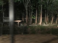 -清迈夜间动物园