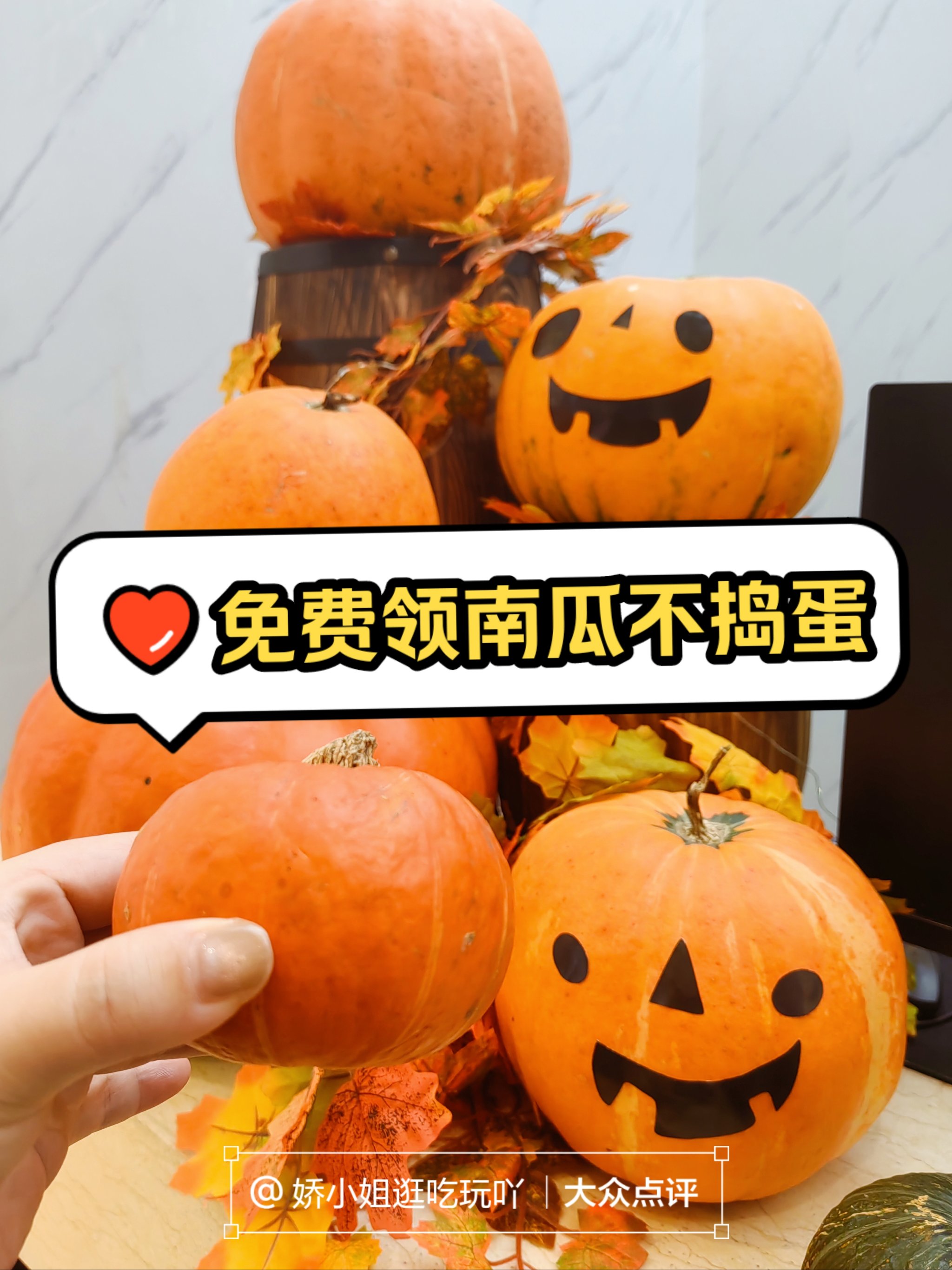 南瓜购物app(南瓜app是什么样子的)