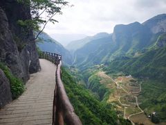 -鹿院坪生态旅游景区