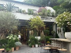 -自由生长植物工作室(深港花卉中心店)
