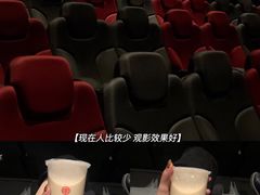 -奥斯卡升龙国际影城(RealD Cinema)