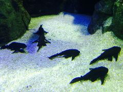 -成都浩海立方海洋公园