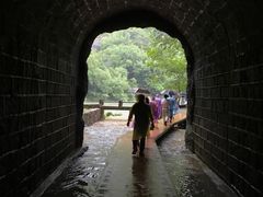 -武夷山风景名胜区-玉女峰