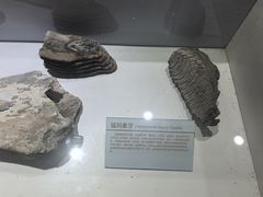 -中国第四纪冰川遗迹陈列馆