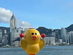 -星光大道