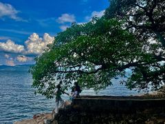 -抚仙湖禄充风景区