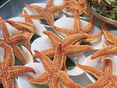 -半岛听涛蒸汽海鲜自助(K11店)