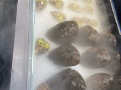 -田园肥牛鲍鱼先生(新北店)