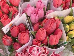 -三圣花乡旅游区