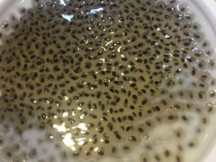 -文昌邓记清补凉(西沙路店)