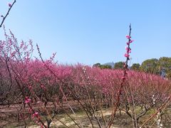 -西山风景区