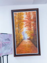 -薇兰专业脱毛连锁机构