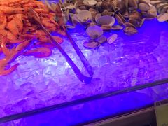 -科尔海悦酒店·柏顿花园餐厅(清河东路店)