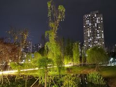 -沐仙湖湿地公园