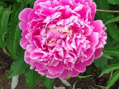 -长春公园(普阳街道)