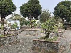 -中山詹园