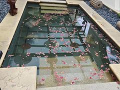 -苏州湾·王焰温泉