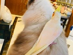 -雨林宠物医院 非犬猫异宠专科