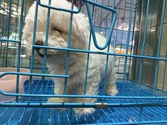 -宠爱我(南山店)