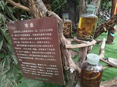 -呀路古热带植物园