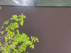 -龙头寺公园
