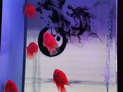 -权品·权金城沐浴连锁(良乡店)