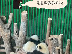 -杭州动物园